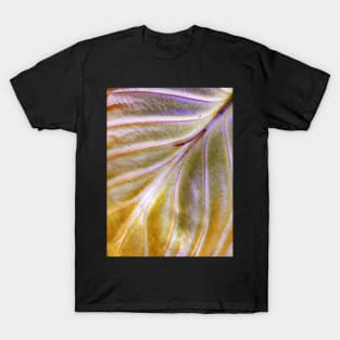 Hosta leaf ~ end of season T-Shirt